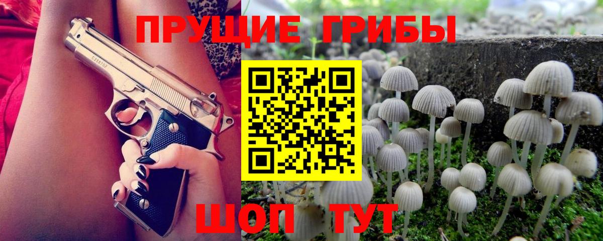 Арсеньев  Псилоцибиновые грибы GOLDEN TEACHER  Вход с VPN 