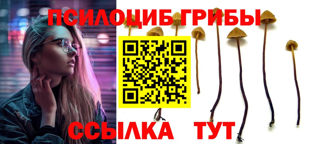 Псилоцибиновые грибы MAGIC MUSHROOMS Арсеньев